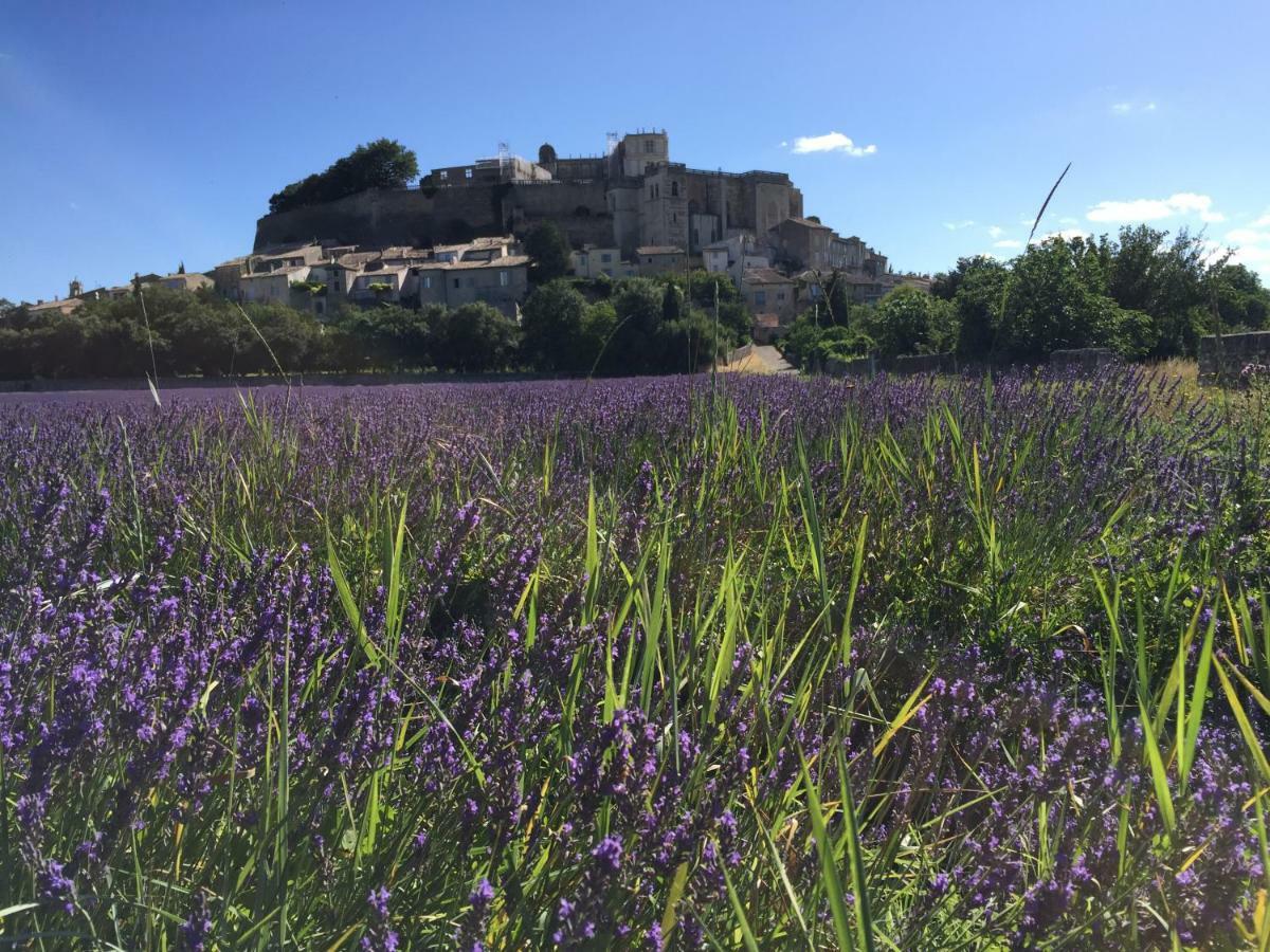 La Vie De Chateau Grignan Eksteriør bilde